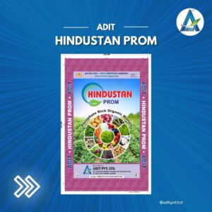 HINDUSTAN PROM