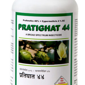 PRATIGHAT