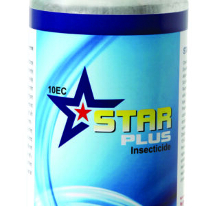 STAR PLUS