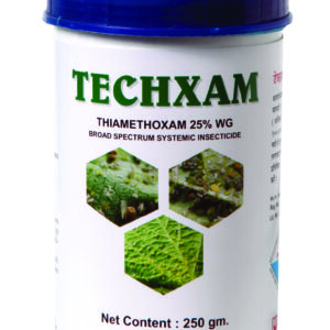 TECHXAM