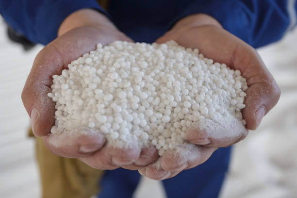 Plant worker holds granules of nitrogen fertilizer. Production of big chemical factory.
